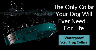 Waterproof Dog Collars